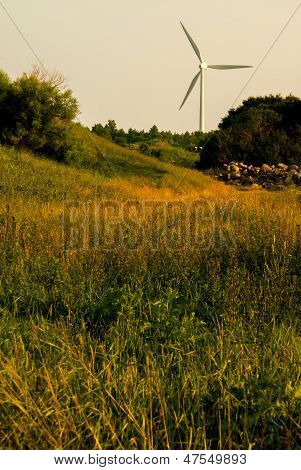 Windturbine_meadow
