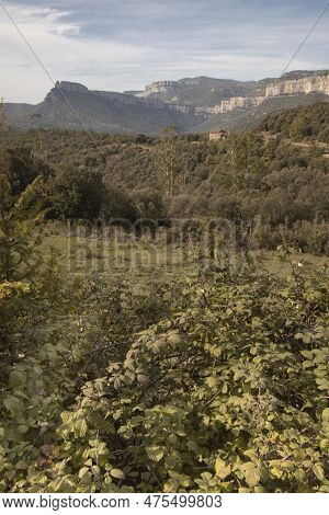 Collsacabra Mountains Landscape In Guilleries National Park In Catalonia