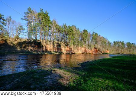 The Red Banks Of Sandstone. Salaca River, Red Cliffs, Latvia