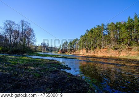 The Red Banks Of Sandstone. Salaca River, Red Cliffs, Latvia