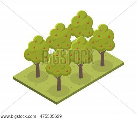 Apple Trees Concept. Garden With Fruit Trees On Green Grass. Farming And Agriculture, Backyard With 