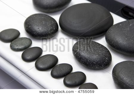 Wellness kivet