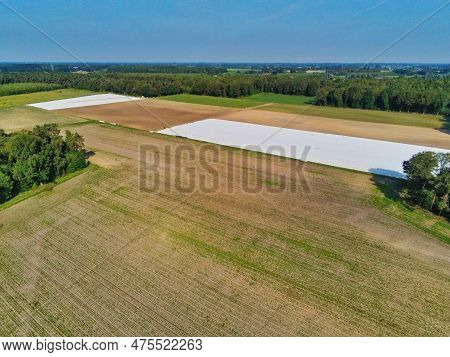 Asparagus Field And Field In The Middle Of The Forest Made With A Drone