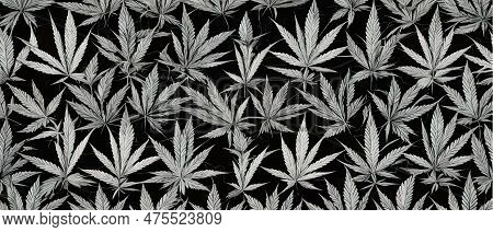 Cannabis Leaf Seamless Pattern. Medicine Marijuana Textre. Medical Cannabis Sign. Legalize Symbol. D