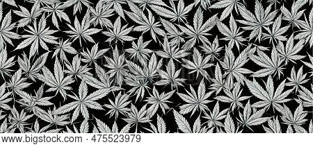 Cannabis Leaf Seamless Pattern. Medicine Marijuana Textre. Medical Cannabis Sign. Legalize Symbol. D