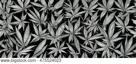 Cannabis Leaf Seamless Pattern. Medicine Marijuana Textre. Medical Cannabis Sign. Legalize Symbol. D