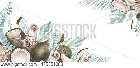 Whole Coconuts And Slices With Tropical Palm Leaves And Seashells. Watercolor Illustration. Template