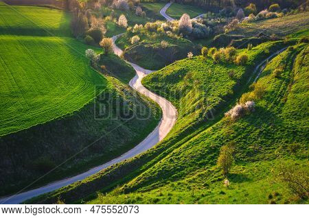 Beautiful Green Spring Landscape In The Polish Countryside. Winding Road Among Green Grass And Flowe
