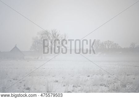 Misty Snowy Morning Landscape In Lithuania. Countryside