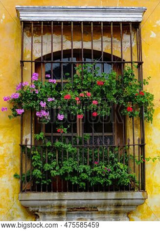 Old Colonial Balcony Adorned With Flowers, Memories And Past Times.
