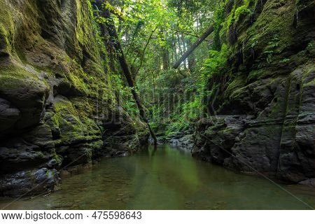 Aptos Creek At The Forest Of Nisene Marks State Park In Santa Cruz County, California, Usa.