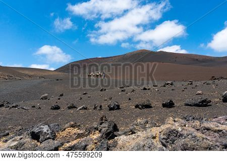 Timanfaya, Spain - August 10, 2018:tourists Ride Camels Inside The Timanfaya National Park And The V