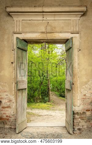 Wonderful View Of A Park Or Woods With Lush Green Vegetation Through A Wooden Open Door And A Stone 