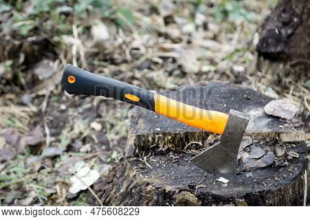 An Axe Or Hatchet, Stuck In A Dead Tree Stump.