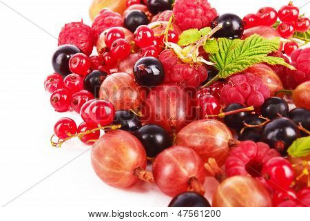 Berries