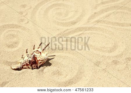浜辺の砂の背景