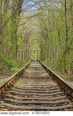 Tunnel Of Love, Ukraine, Klevan: Beautiful Panoramic View Of The Romantic Tunnel Of Love In Western 