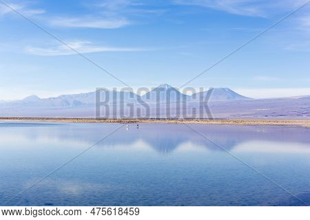 View Of Chaxa Lagoon
