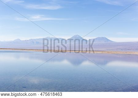 View Of Chaxa Lagoon