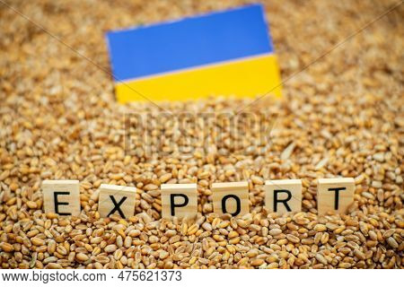 Export Of Ukrainian Grain Concept. The Word Export And The Flag Of Ukraine On A Grain Background.