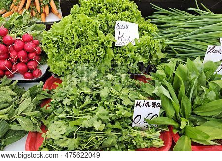 Fresh Organic Vegetables And Fragrant Herbs From Farmer Market. Vegetarian Salads, Cilantro And Wild