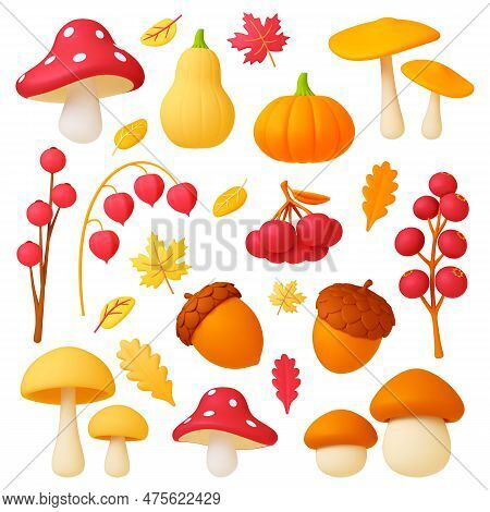 Autumn 3d Elements, Falls Leaves, Decorative Nature Objects. Mushrooms, Realistic Plasticine Acorns,