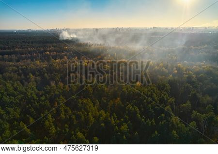 Burning Forest With Fire And Smoke. Aerial Top View From Drone