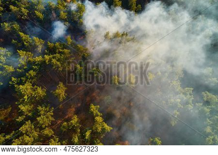 Burning Forest With Fire And Smoke. Aerial Top View From Drone
