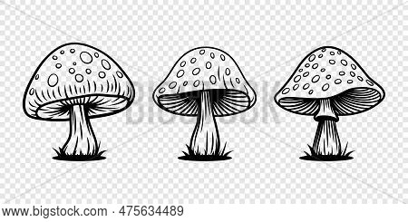 Vector Hand Drawn Mushroom With Outline Icon Set Isolated. Amanita Muscaria, Fly Agaric Scetch, Dood