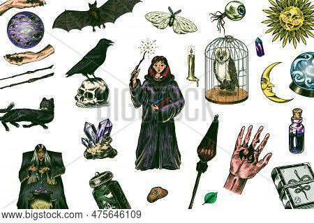 Witch Brews A Potion In A Cauldron. Magic Ball, Book Of Spells, Black Cat, Beldam And Sorcery, Crow 