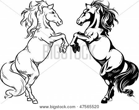 Schizzo di stallone rampante o cavallo