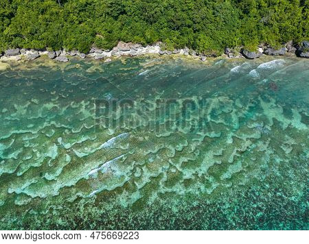 Magestic Underwatetr Landscape With Coral Reefs Near The Coast. Siquijor, Philippines.