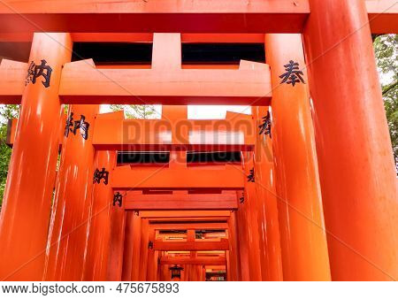 Red Torii Gates At Fushimi Inari Taisha, A Shinto Shrine In Kyoto, Japan