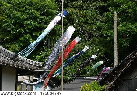 Japanese 'koinobori' ( Carp Streamer ) . A Big Carp Is A Father, Next Mom, And Children Are Below. P