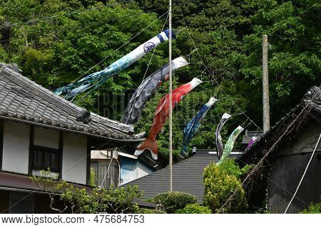 Japanese 'koinobori' ( Carp Streamer ) . A Big Carp Is A Father, Next Mom, And Children Are Below. P