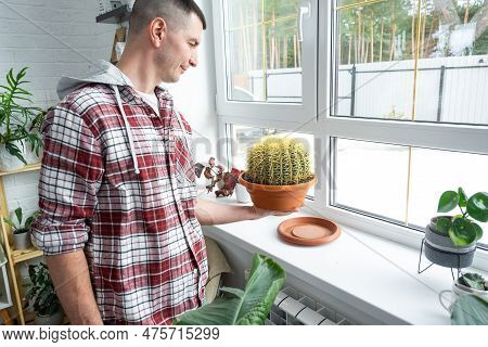 Large Echinocactus Gruzoni In The Hands Of Man In The Interior Near The Window On The Windowsill Of 