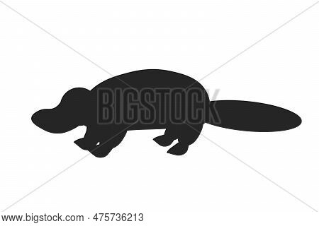 Black Silhouette Of Platypus On A White Background. Animals Of Australia. Vector Illustration. Eps