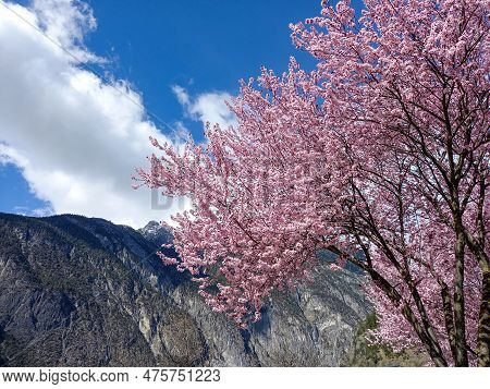 Beauty Of The Alps Mountains In Austria (zams)