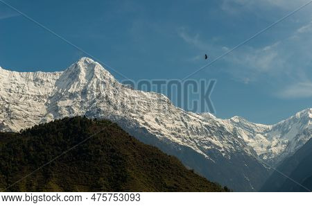 View Of Mt.hiunchuli (6,441 Metres) View From Chomrong Village On The Way To Annapurna Base Camp, Ne