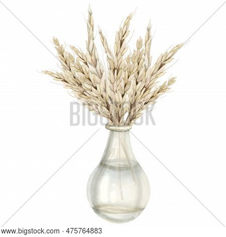 Watercolor Rustic Wheat Ears Bouquet In Transparent Glass Bottle Vase Illustration Isolated On White