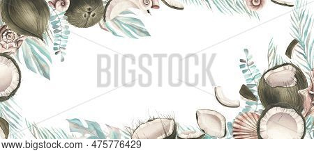Whole Coconuts And Slices With Tropical Palm Leaves And Seashells. Watercolor Illustration. Template