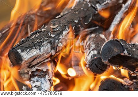 Fire On Branches And Firewood Burning In Coals. Garden, Rural, Cottage.