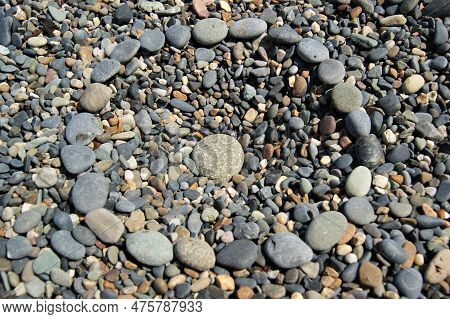 A Circle Made Of Pebbles On A Rocky Beach On A Sunny Day.