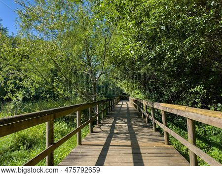 Wooden Pathway In Fiaes, Santa Maria Da Feira - Portugal.