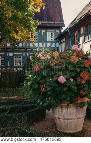 Traditional German Houses With Nice Garden In Fall. Flowers In The City Park Of Bietigheim-bissingen