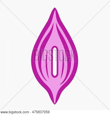 Female Vulva Icon Logo For Gynecological Health Theme Minimal Vector Illustration