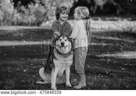 Funny Children Brother And Sister And Dog Together In Park. Child 5 Years Old. Kids With Dog Walking