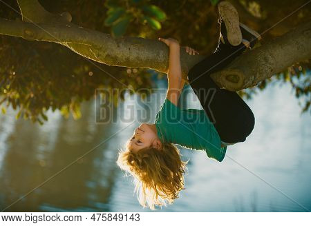 Little Child Boy Trying To Climb A Tree. Kids Climbing A Tree. Happy Boy Enjoying Summer Day In A Ga