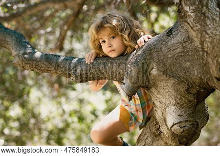 Child Hugging A Tree Branch. Little Boy Kid On A Tree Branch. Kid Climbs A Tree. Active Kid Playing 