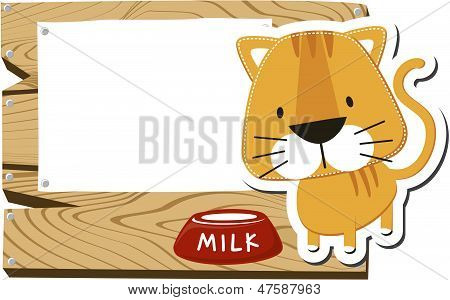 Kitten achtergrond